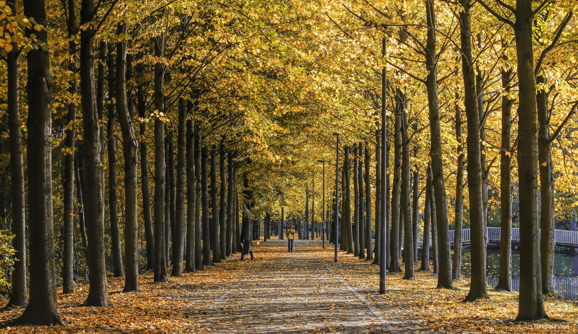 Herbstspaziergang