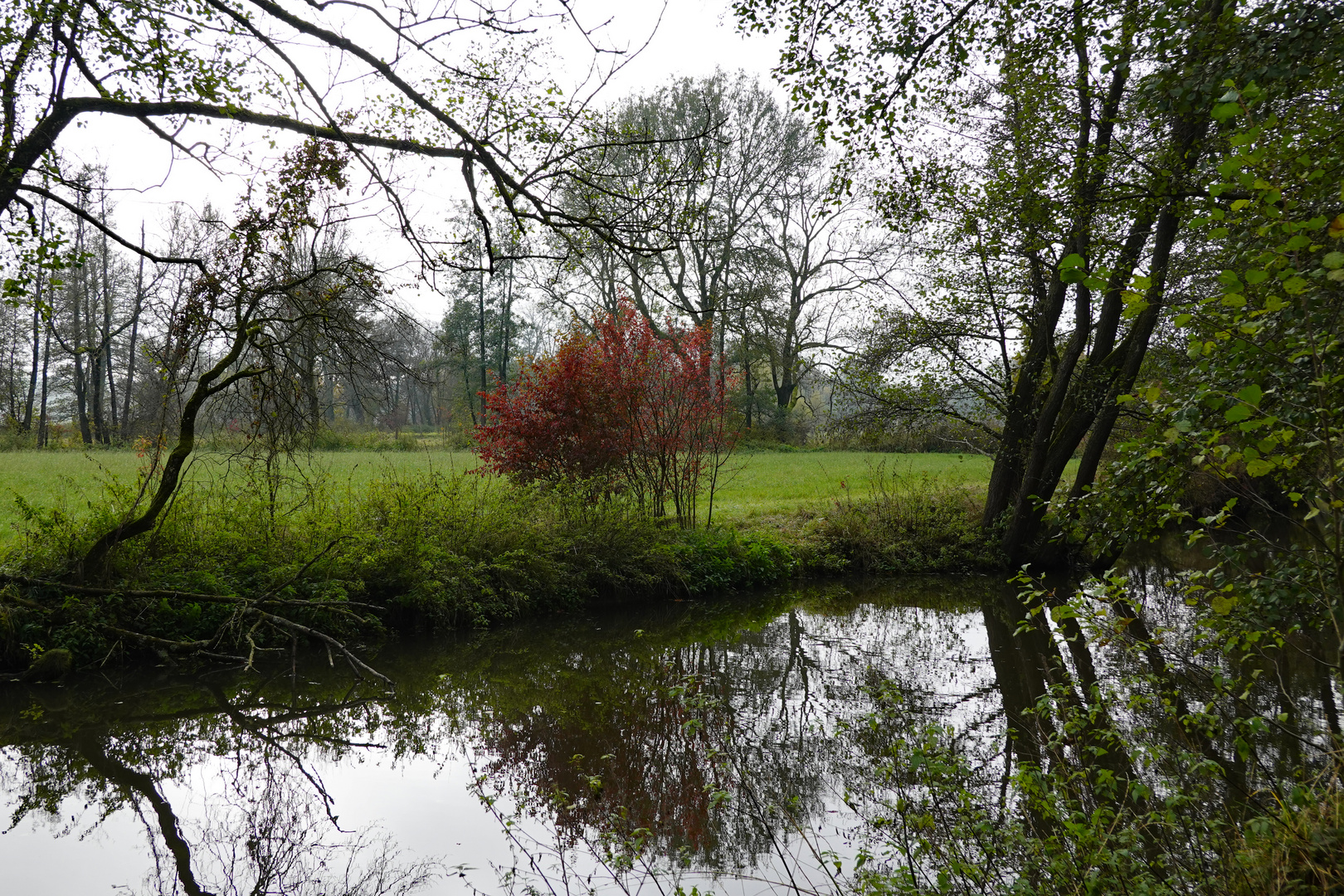 Herbstspaziergang 