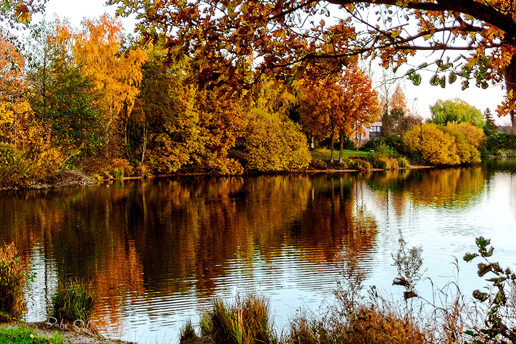 Herbstspaziergang