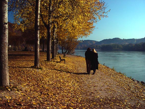 Herbstspaziergang