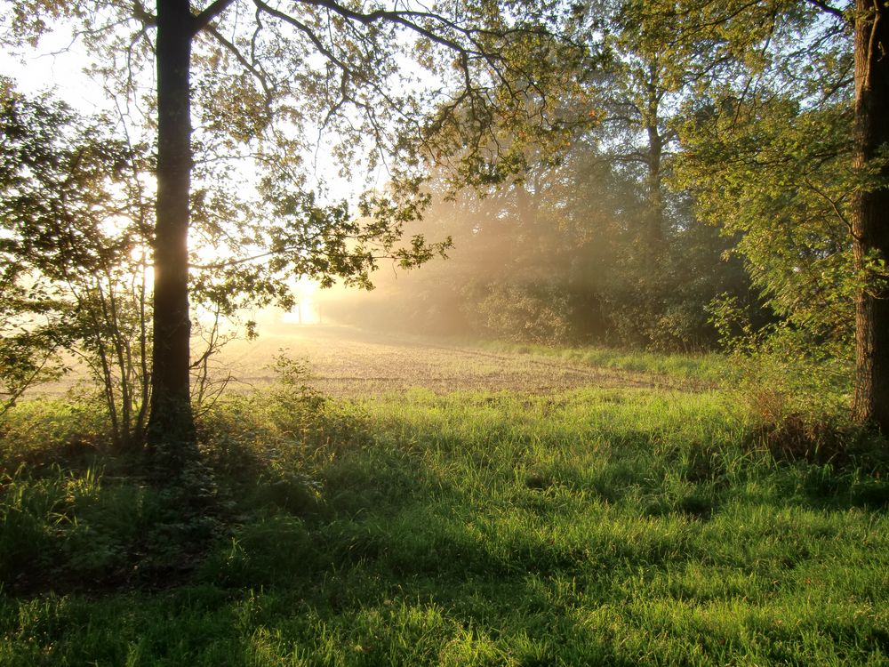 Herbstspaziergang