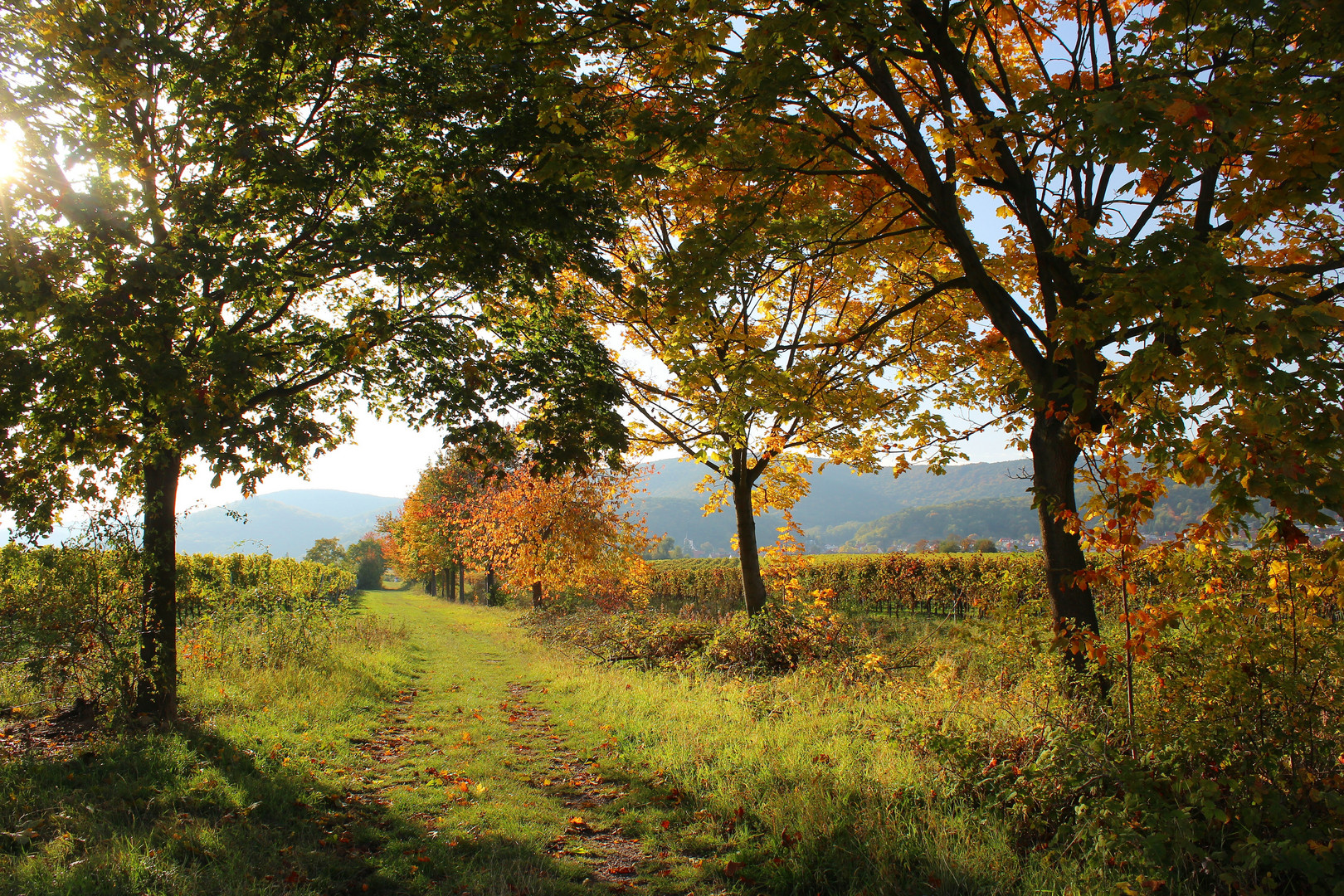 Herbstspaziergang