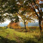 Herbstspaziergang