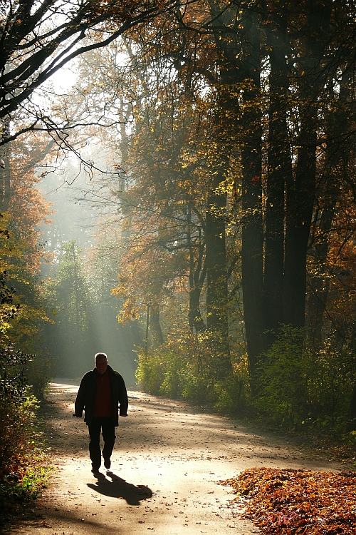 Herbstspaziergang