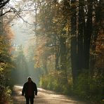 Herbstspaziergang