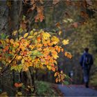 Herbstspaziergang