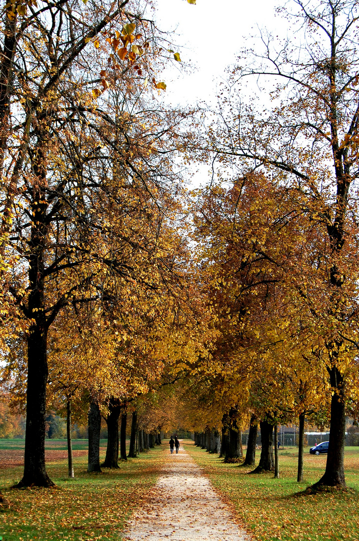 herbstspaziergang