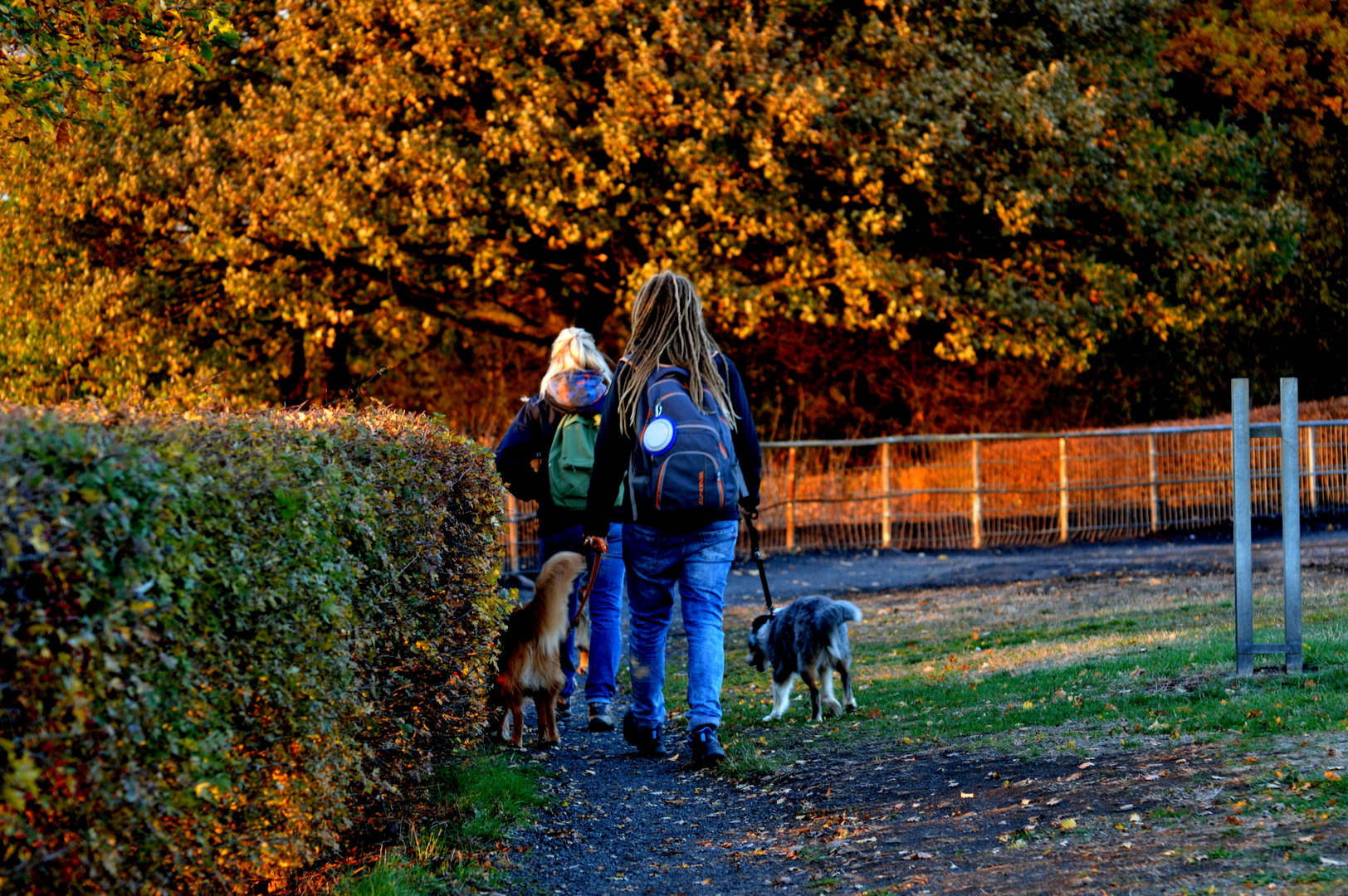 HERBSTSPAZIERGANG 