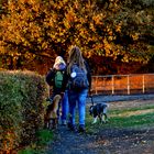 HERBSTSPAZIERGANG 