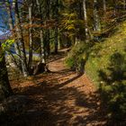 Herbstspaziergang