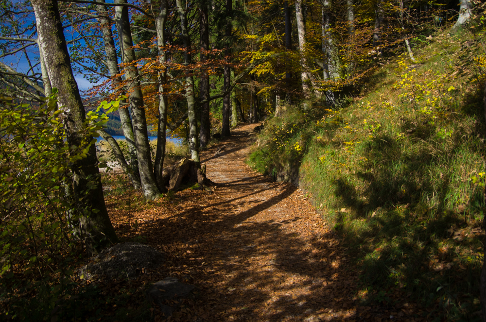 Herbstspaziergang