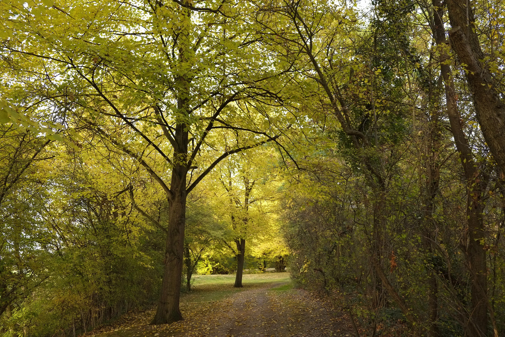 Herbstspaziergang