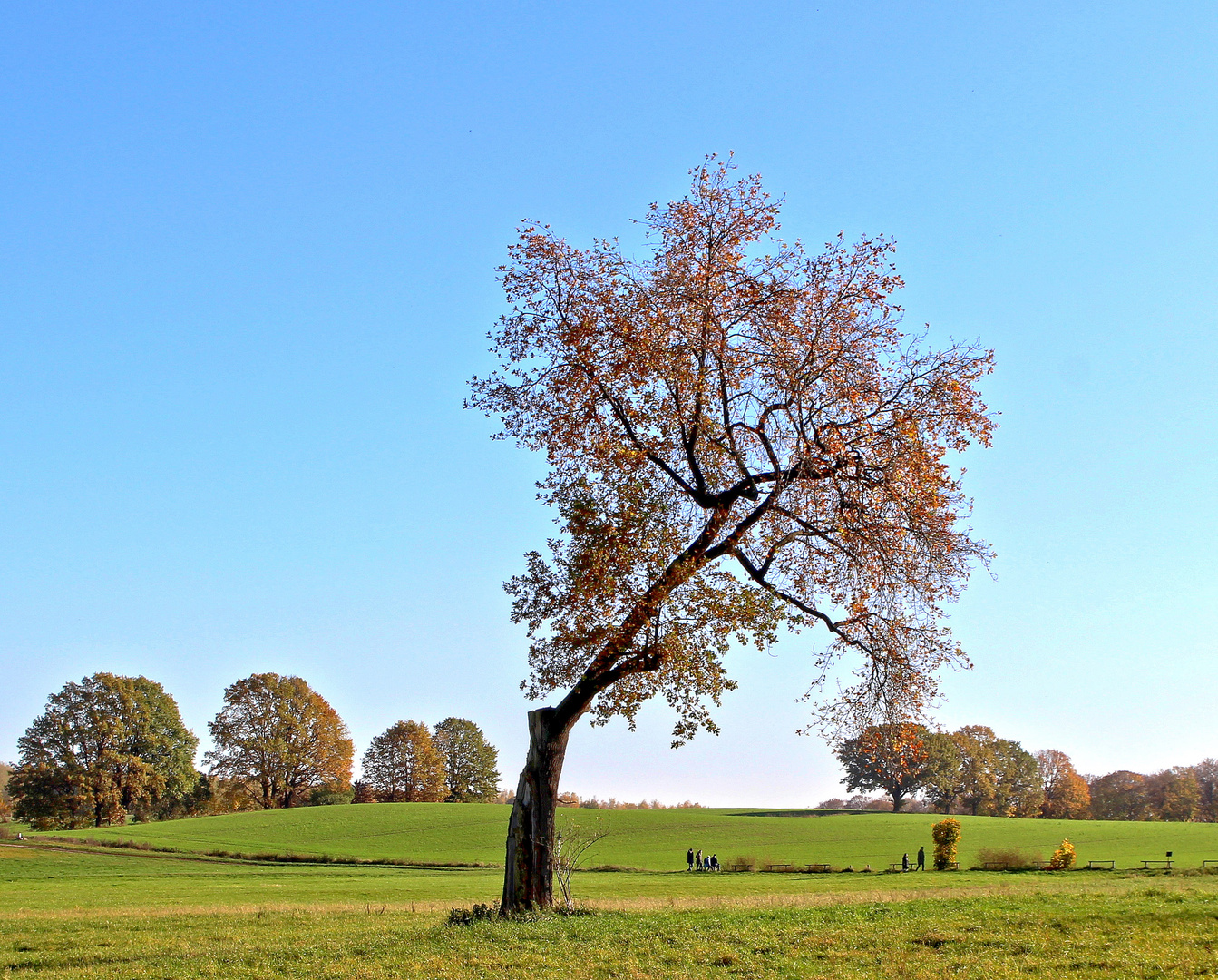 herbstspaziergang.