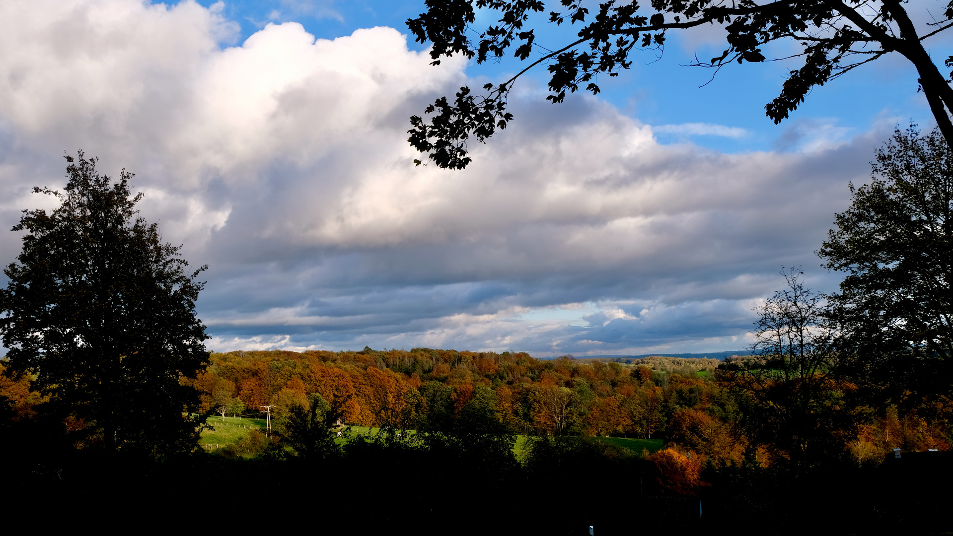 Herbstspaziergang