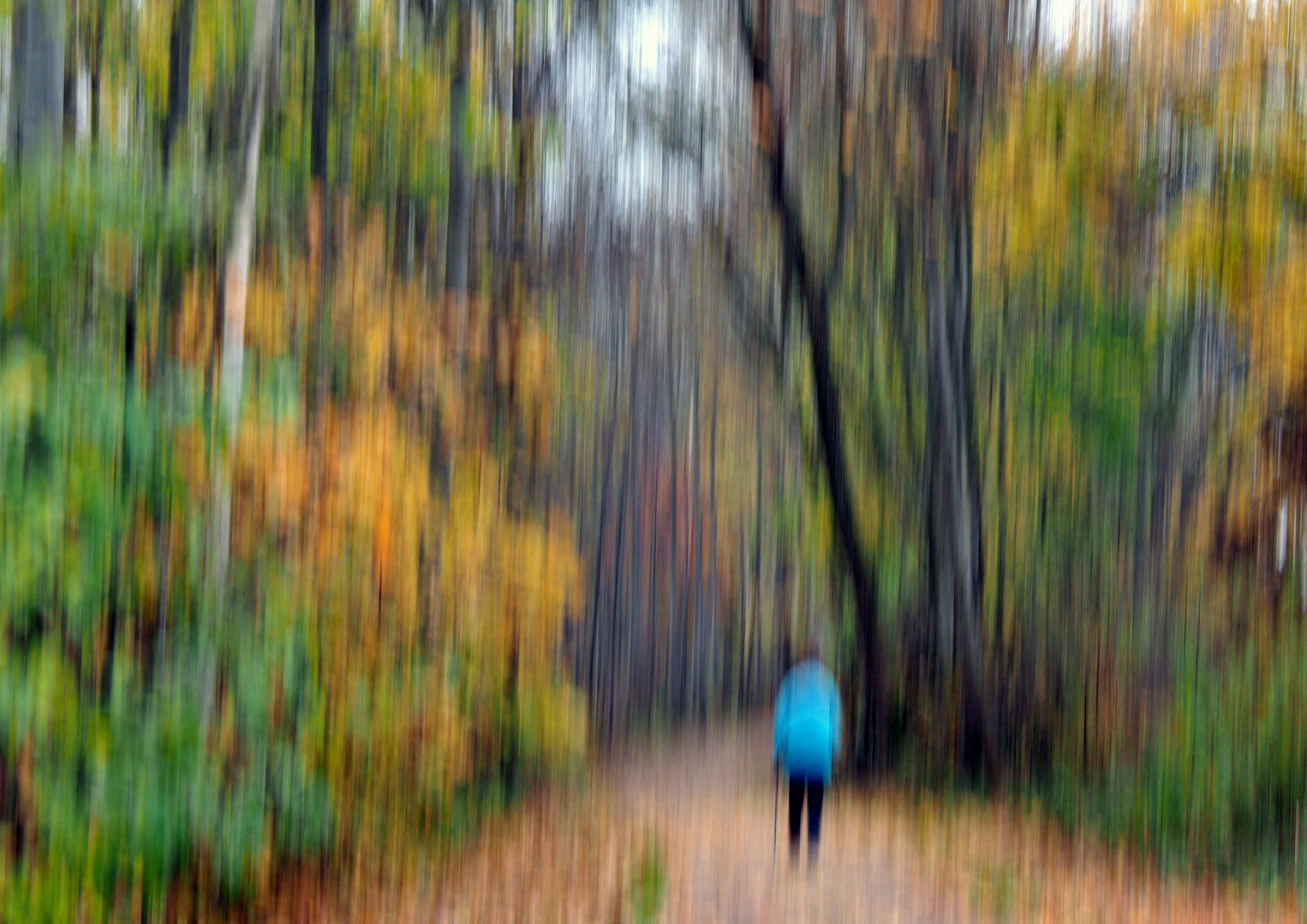 Herbstspaziergang!