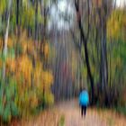 Herbstspaziergang!