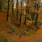 Herbstspaziergang