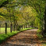 Herbstspaziergang