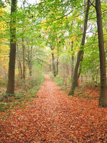 Herbstspaziergang