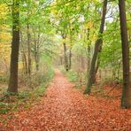 Herbstspaziergang