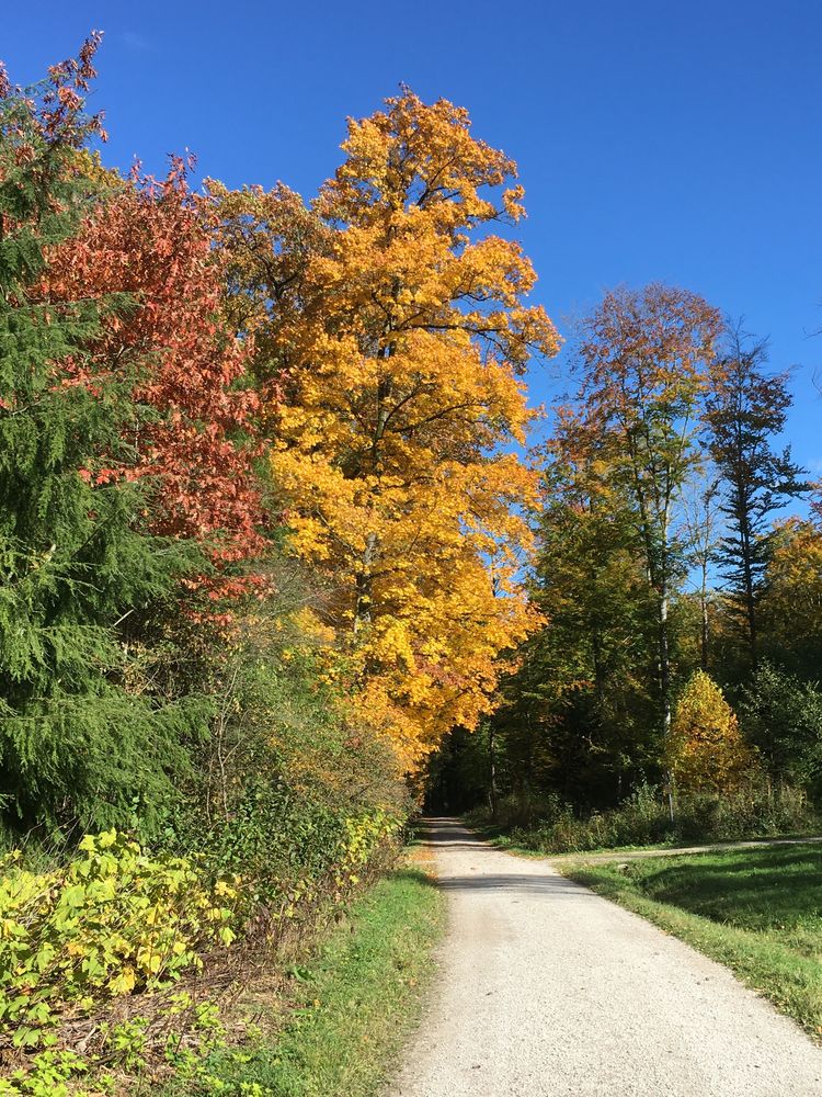 Herbstspaziergang