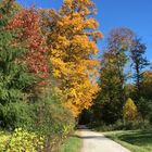 Herbstspaziergang