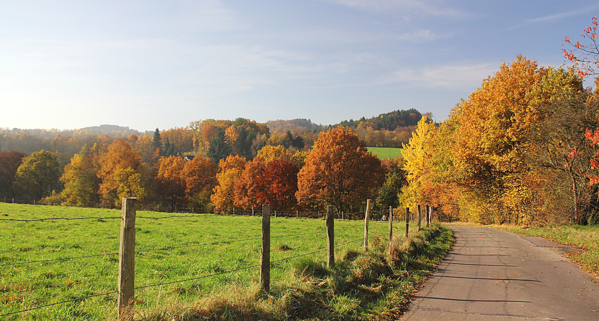 Herbstspaziergang