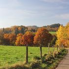 Herbstspaziergang