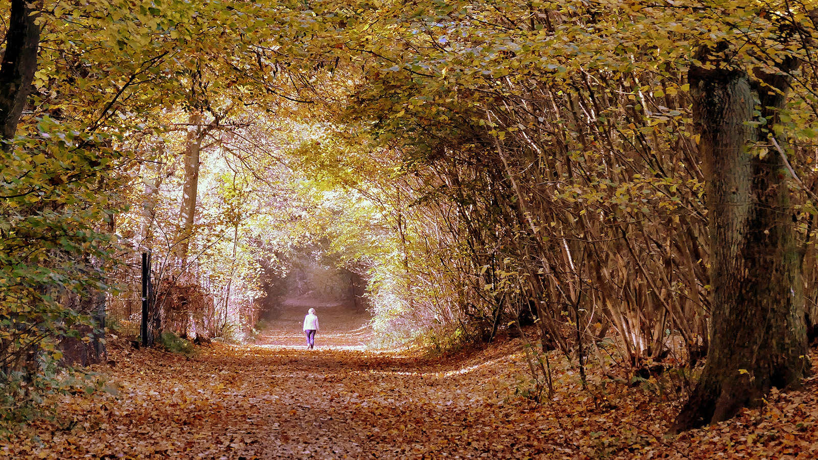 Herbstspaziergang