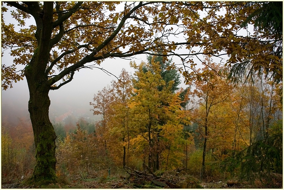 Herbstspaziergang