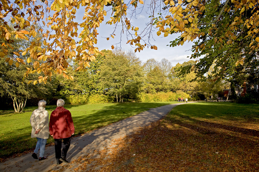 Herbstspaziergang