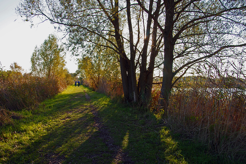 herbstspaziergang