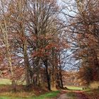 Herbstspaziergang