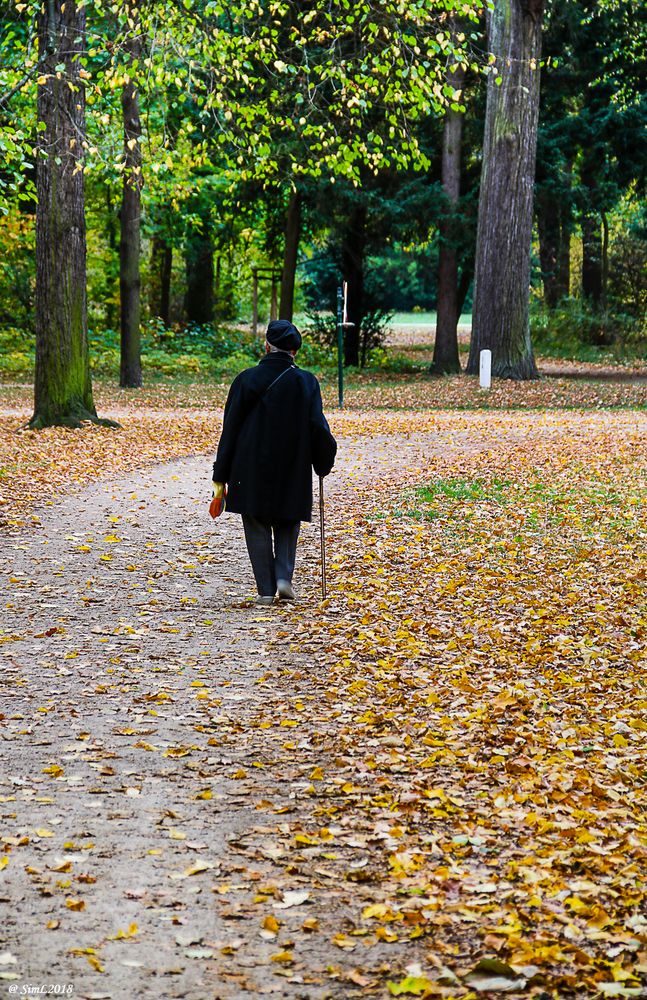 Herbstspaziergang