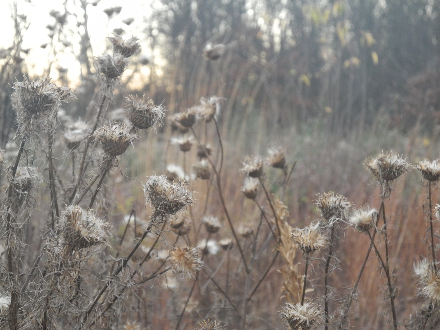 Herbstspaziergang