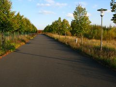 Herbstspaziergang