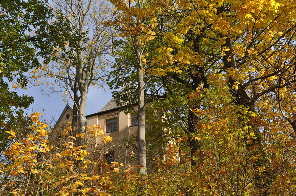 Herbstspaziergang