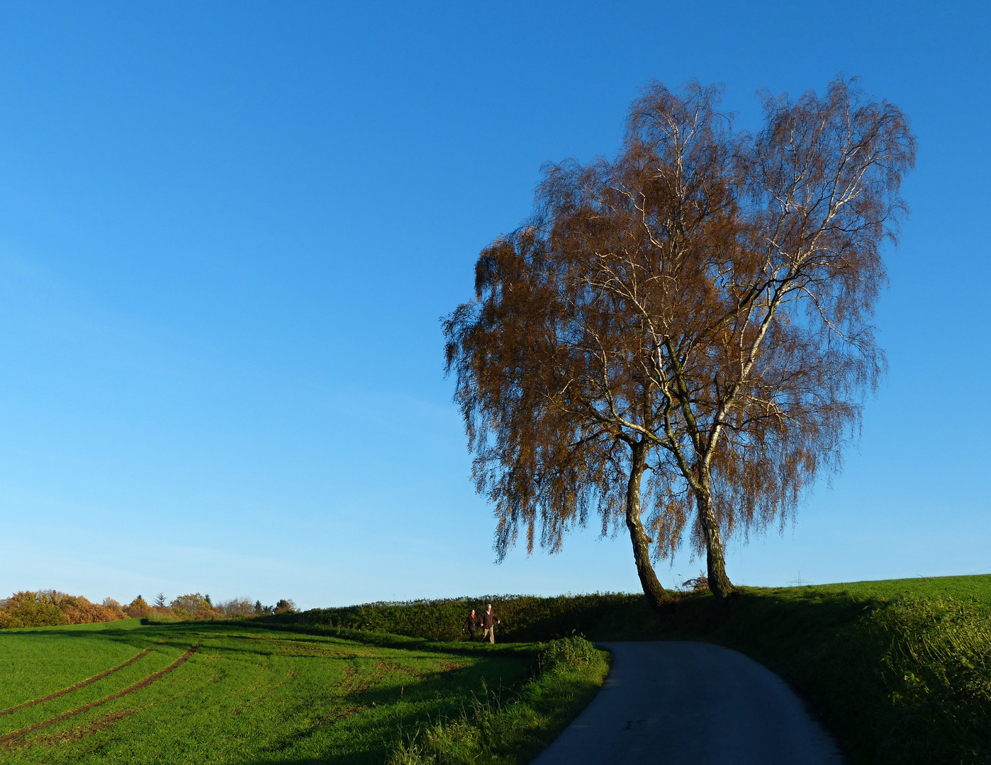 Herbstspaziergang