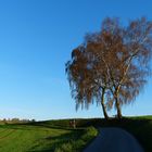 Herbstspaziergang