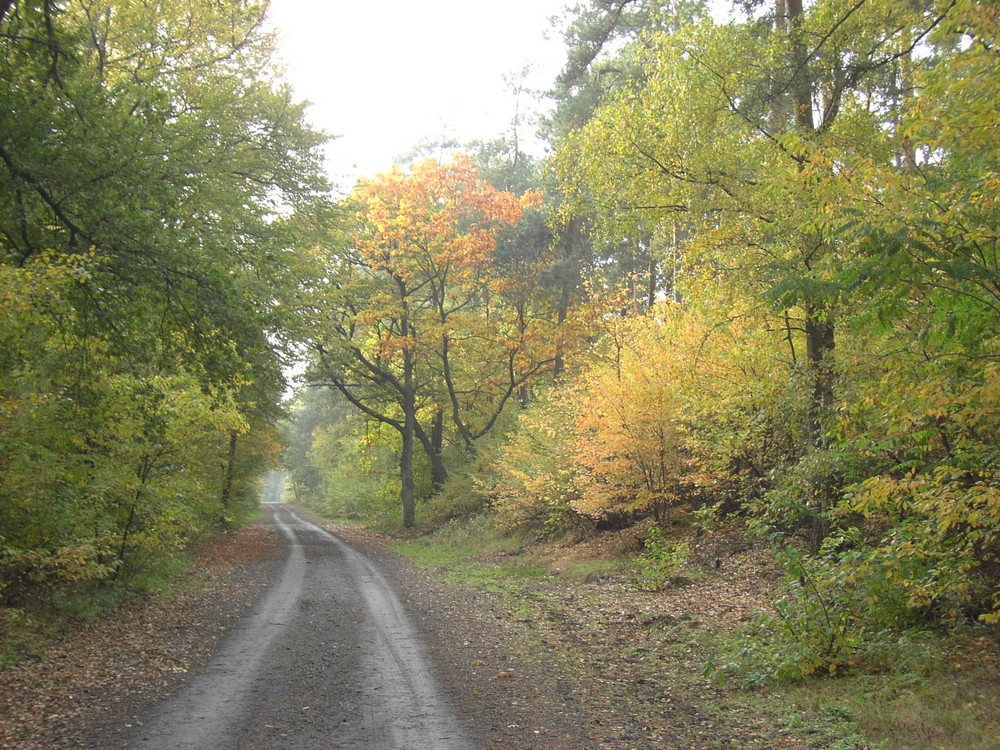 Herbstspaziergang