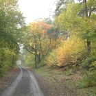 Herbstspaziergang