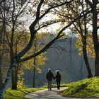 ~~ Herbstspaziergang ~~