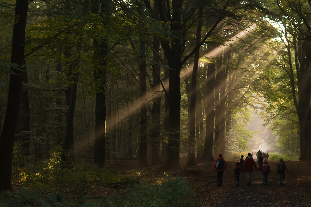 Herbstspaziergang