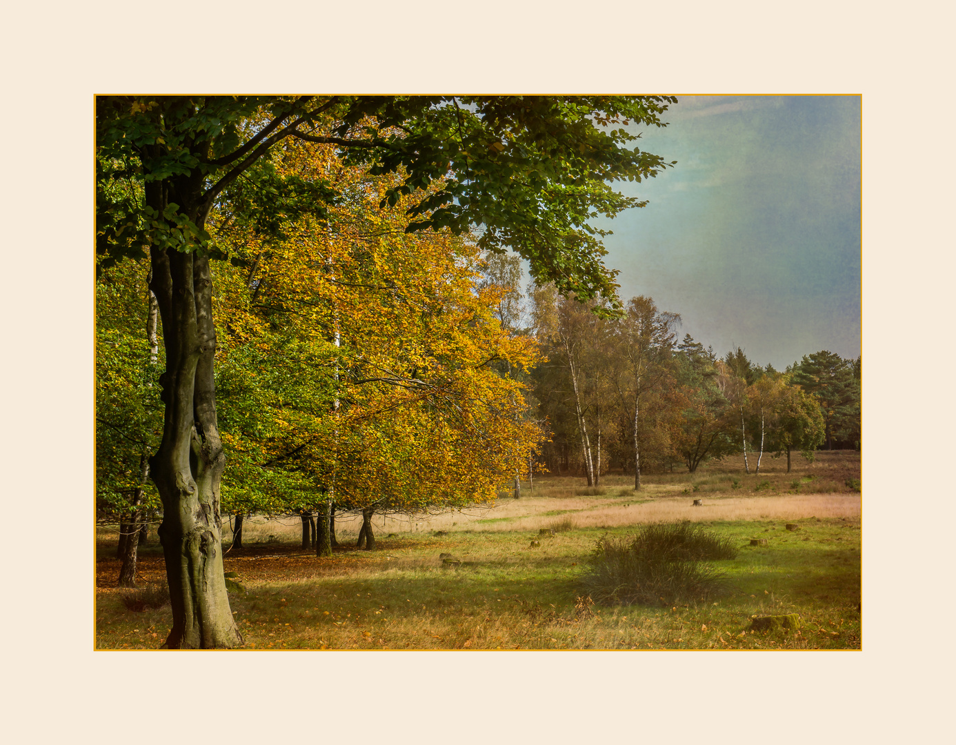 Herbstspaziergang