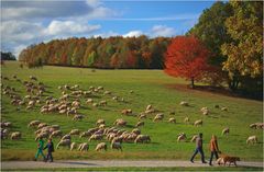 Herbstspaziergang...