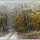 Herbstspaziergang