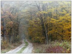 Herbstspaziergang