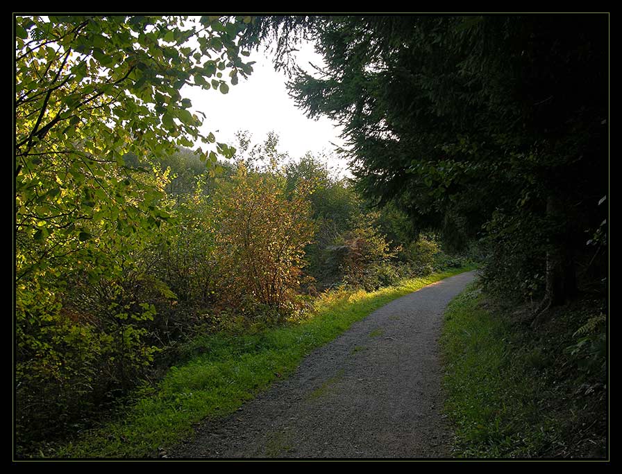 Herbstspaziergang