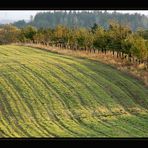 Herbstspaziergang *6*