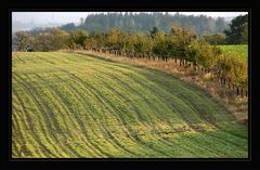 Herbstspaziergang *6*